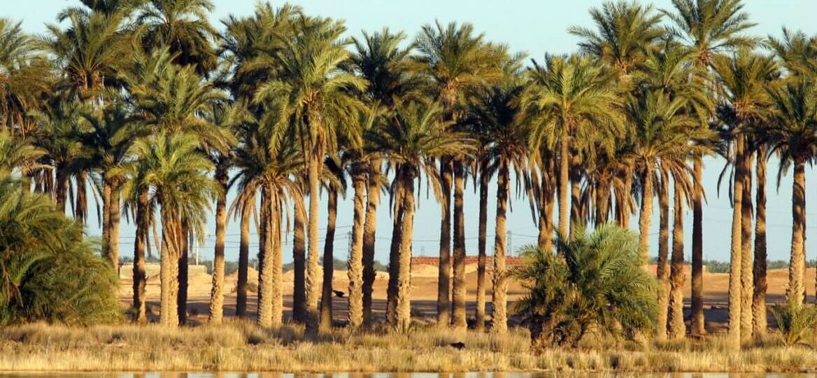 lac ayata-el-oued5 (1)