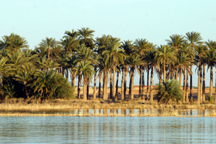 lac ayata-el-oued5